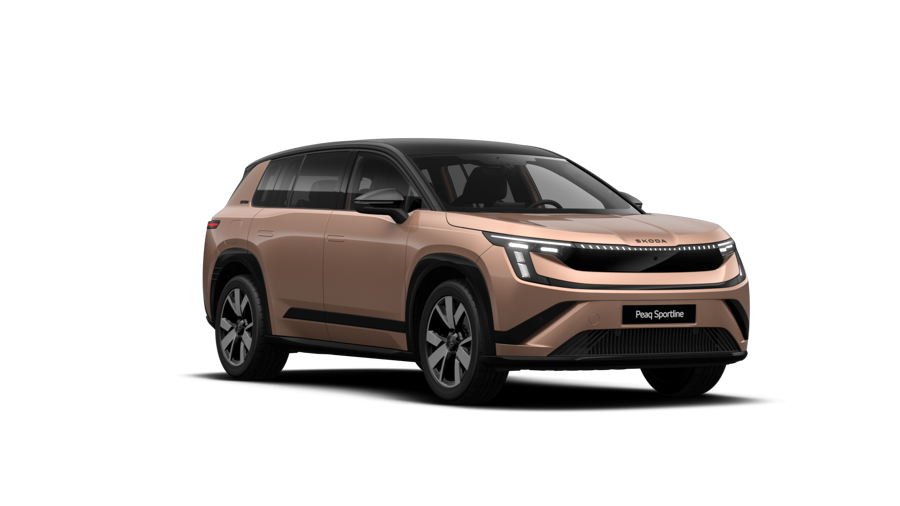 Skoda Peaq